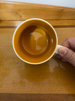 Starbucks “You Are Here” Arizona Mug – Collector Series Desert Cactus Coffee Cup