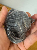 Handmade Glass Art Paperweight Snail-Shell Controlled Bubble in Clear