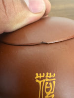 Yixing Zisha Chinese Handmade Clay Tea Mini Kettle Teapot