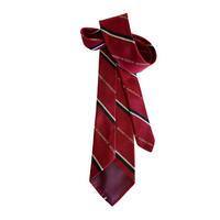 University of Massachusetts Amherst Men's Tie UMASS