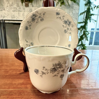 Coffee-Tea Pot Cups and Sugar Bowl Porcelain Johann Haviland Bavarian Germany 11 PCS