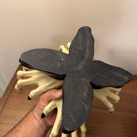 Spooky Witches Hands with Ceramic Bowl Halloween Decor