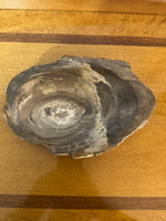 Vintage Petrified Wood Keys-Jewelry Bowl Ashtray
