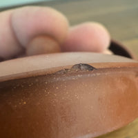 Yixing Zisha Chinese Handmade Clay Tea Mini Kettle Teapot