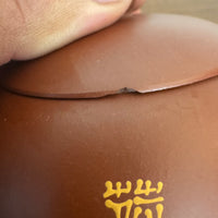 Yixing Zisha Chinese Handmade Clay Tea Mini Kettle Teapot