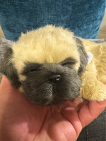 Perfect Petzzz Animated Dog
