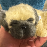 Perfect Petzzz Animated Dog