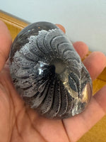 Handmade Glass Art Paperweight Snail-Shell Controlled Bubble in Clear

