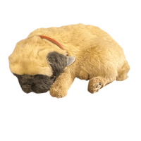 Perfect Petzzz Animated Dog