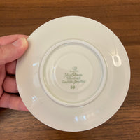 Vintage Johann Seltmann Vohenstrauss Bavaria Porcelain Teacup and Saucer