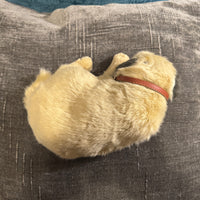 Perfect Petzzz Animated Dog